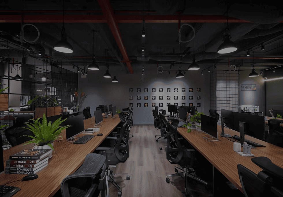 Skylink Labs Workspace