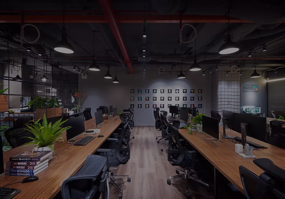 Skylink Labs Workspace